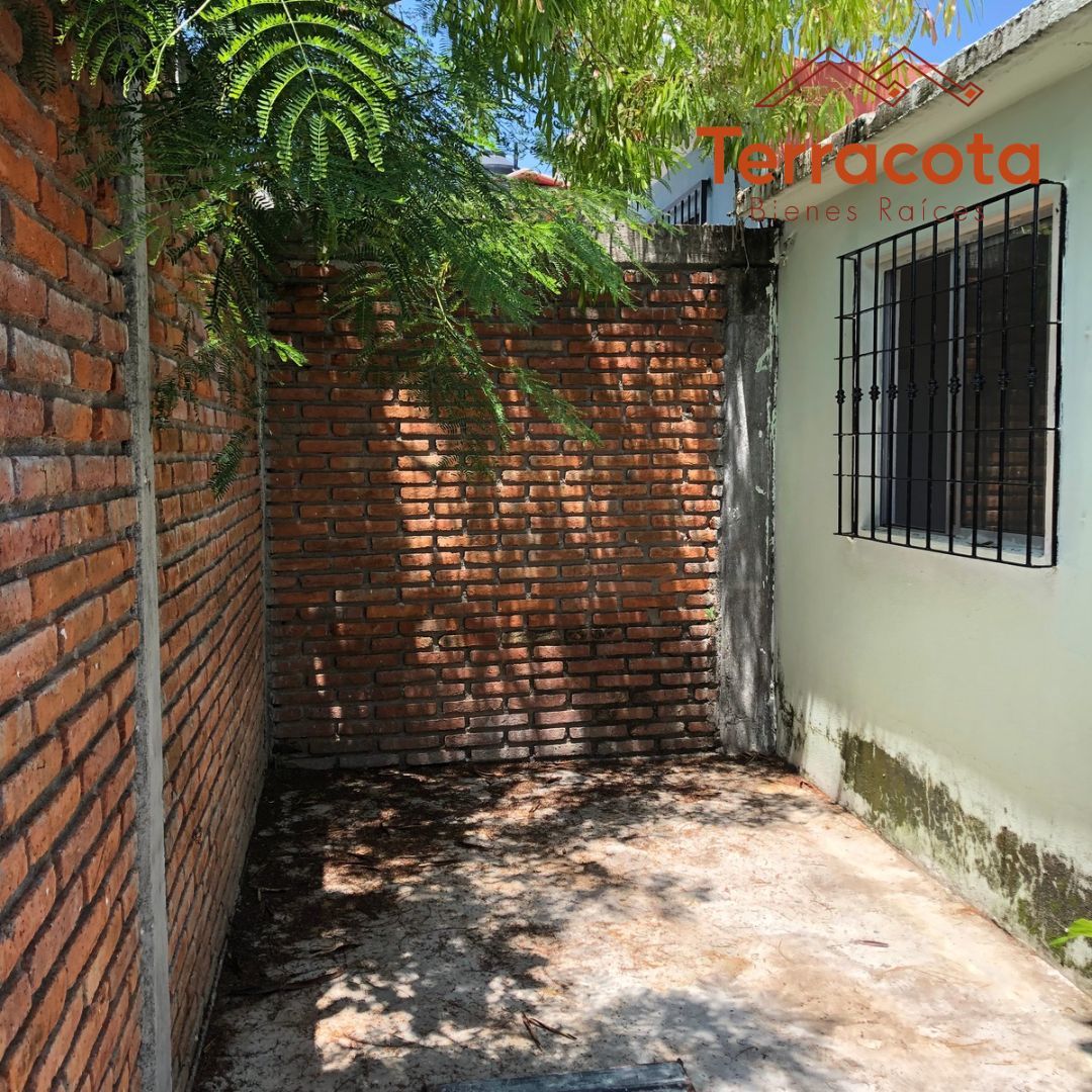 Imagen 6