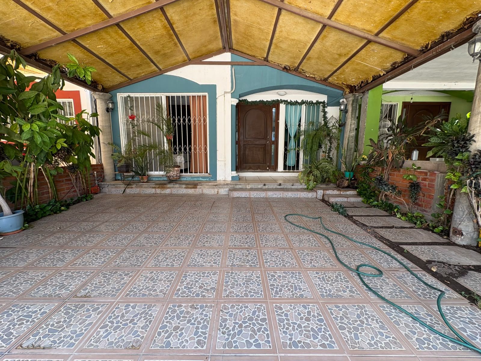 Imagen 6