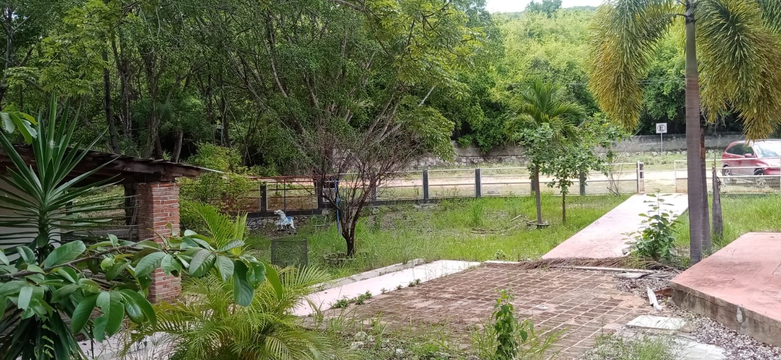 Imagen 3