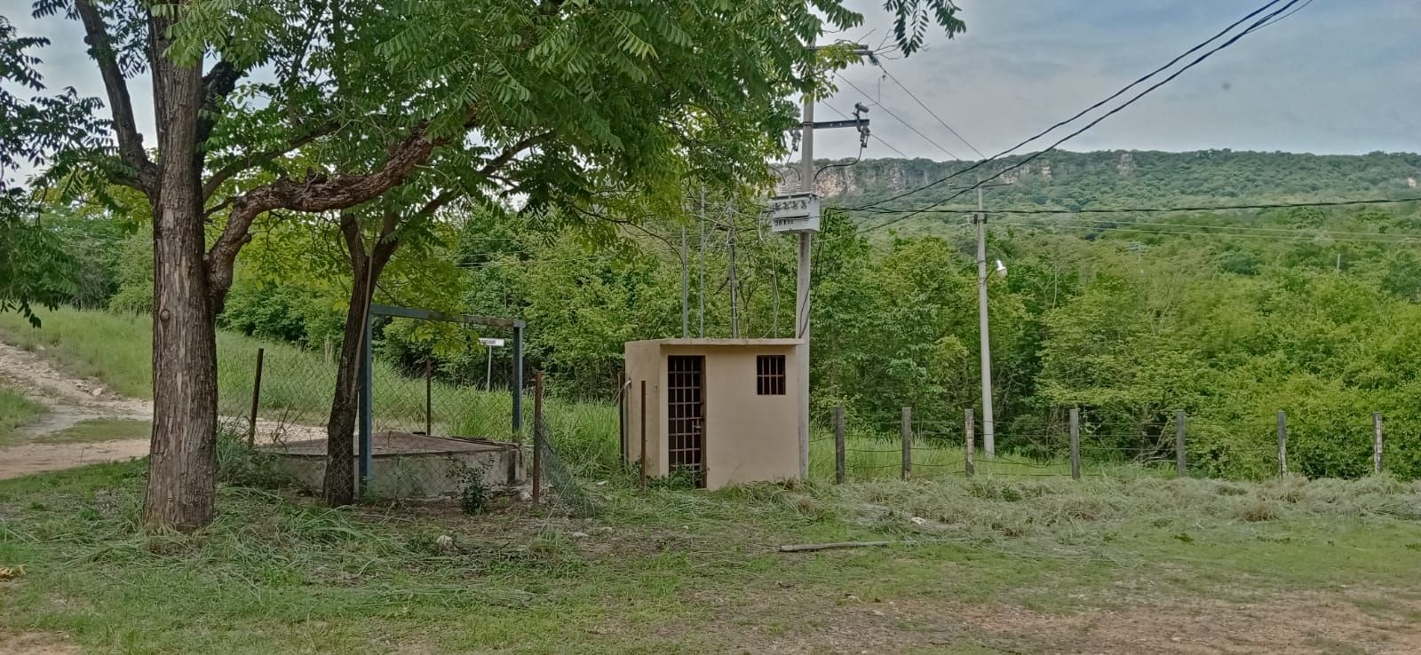 Imagen 4