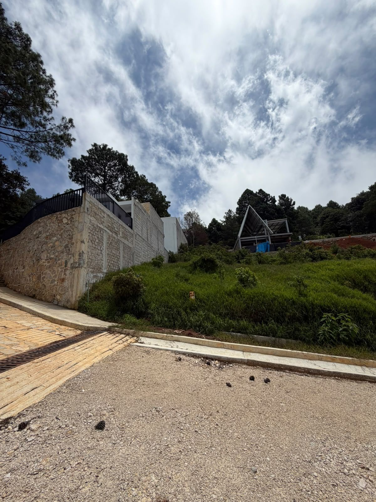 Imagen 5